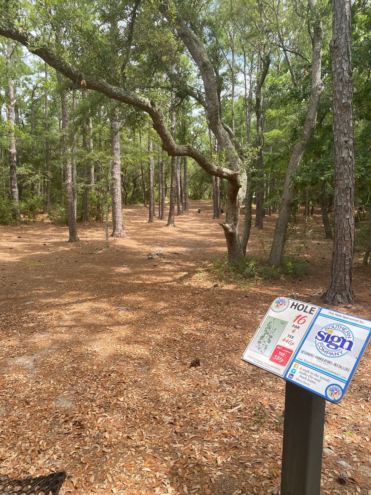 Hole 16 Main Tee