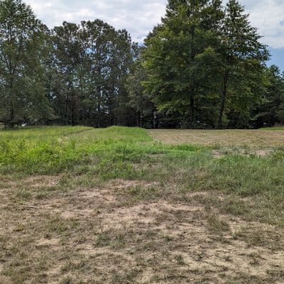 Hole 5, pin is pretty well directly ahead behind some trees.