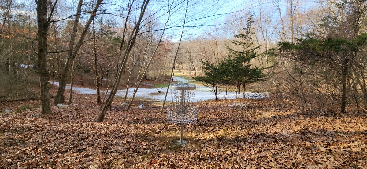 Behind basket on 6