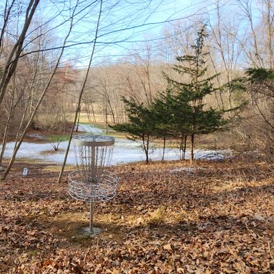 Behind basket on 6