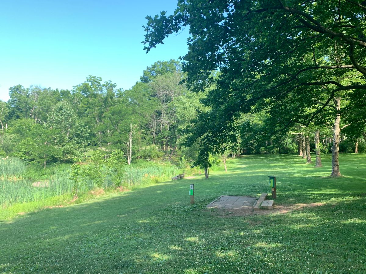 Hole 8 Tee pad, marsh along left