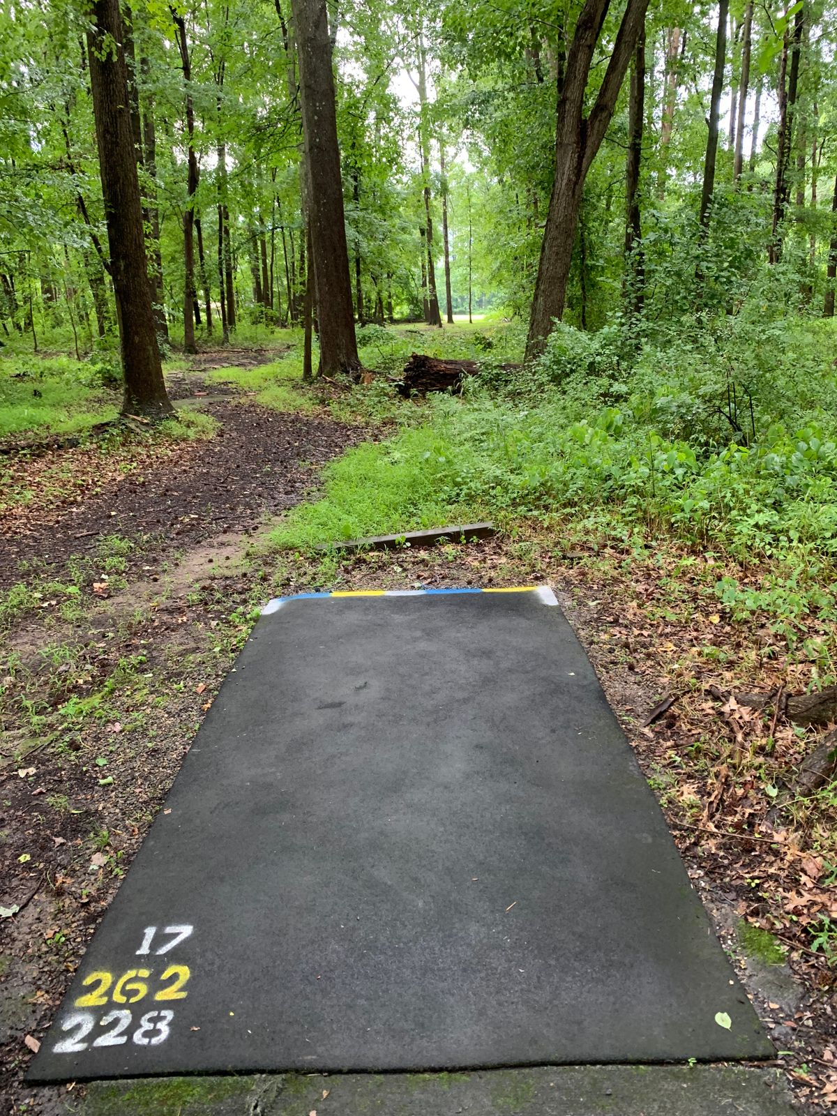 Hole 17 blue and gold tee. Blue pin straight 228’, gold is right to left 262’.