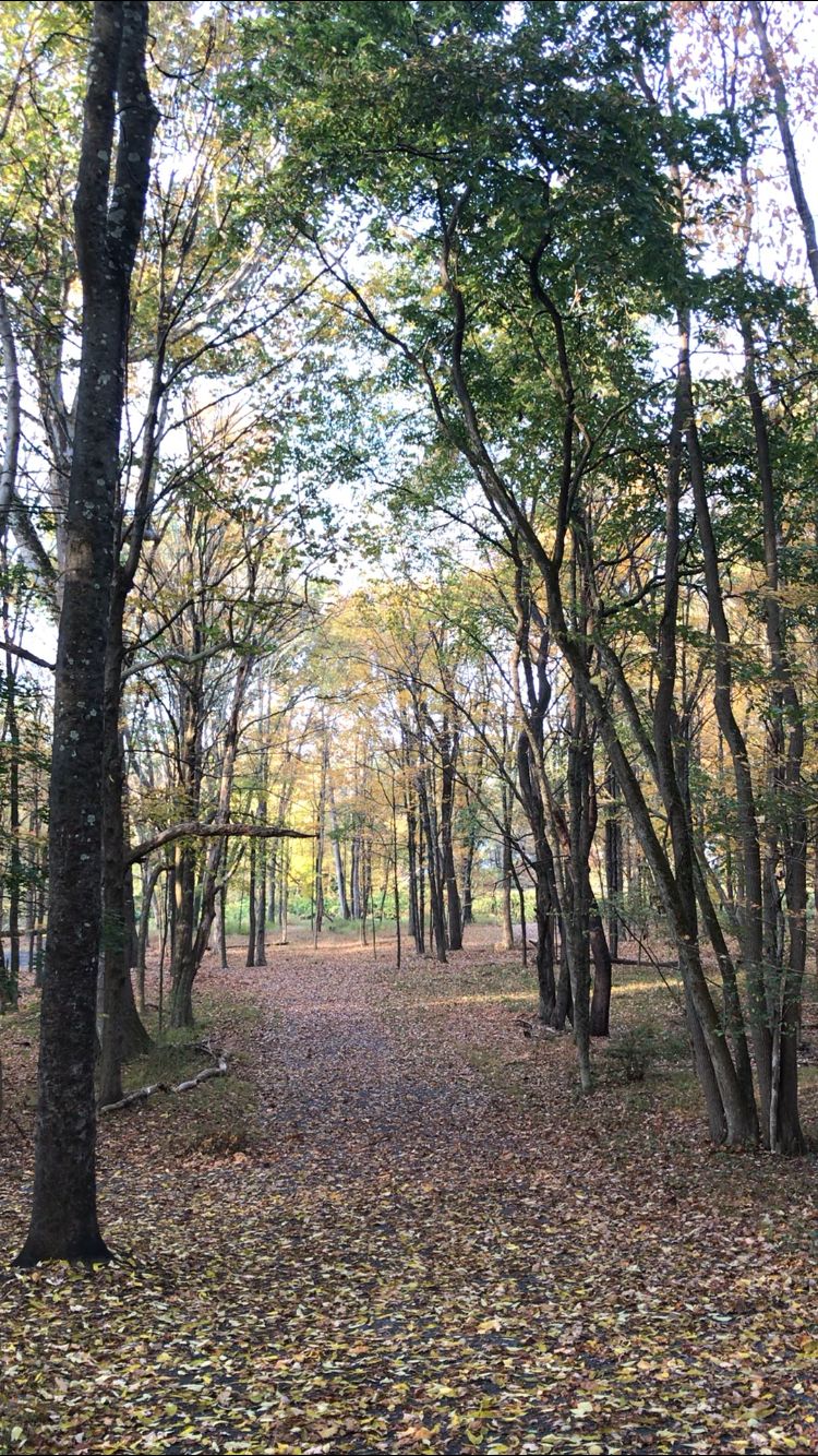 Fairway for hole 14 or 15.