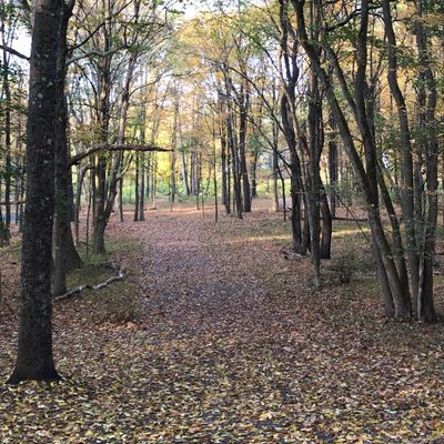 Fairway for hole 14 or 15.