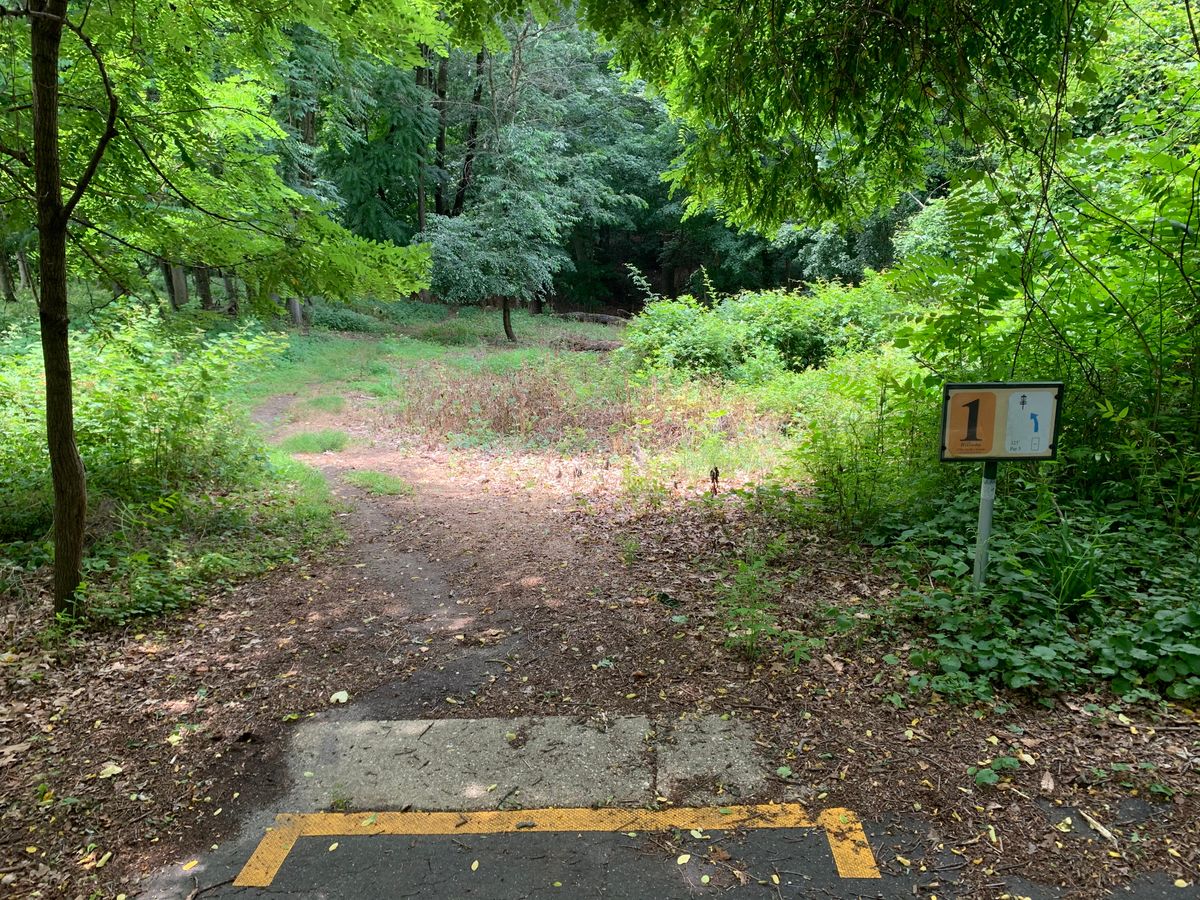 Hole 1 tee. Par 3. Straight ahead fairway goes down and up a short valley. Basket behind big tree.
