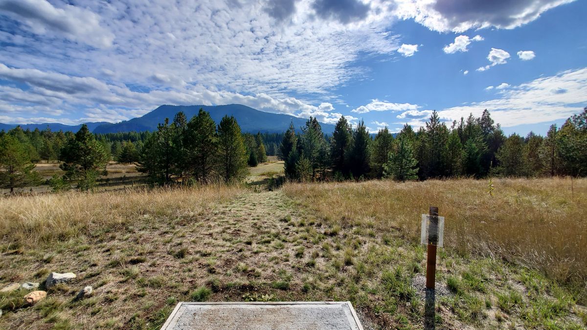 Tee pad hole 5