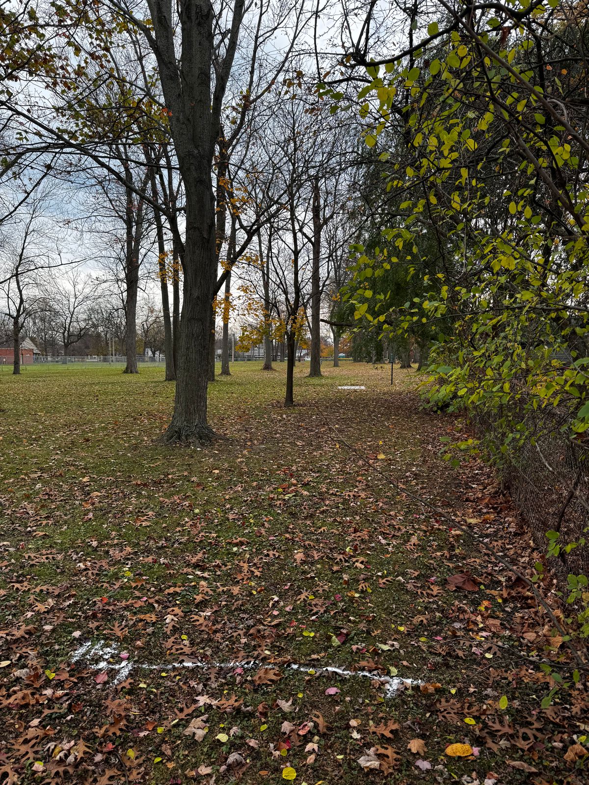 Hole 14