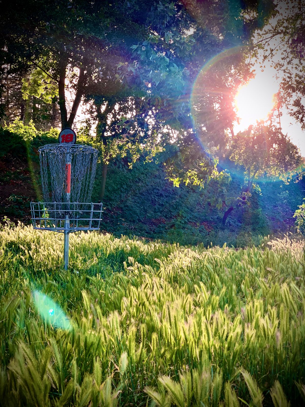 Basket at 18 in April