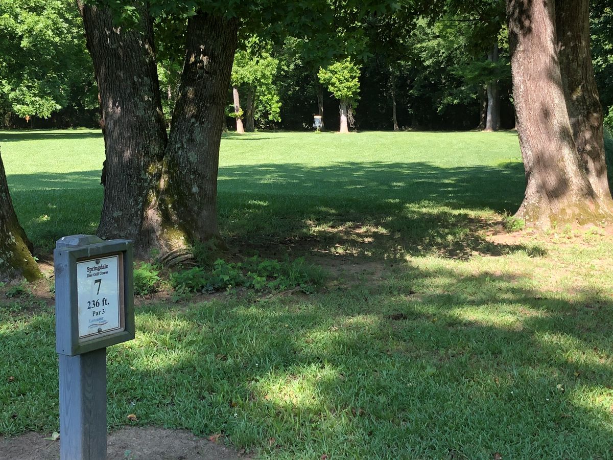 Hole #7 tee