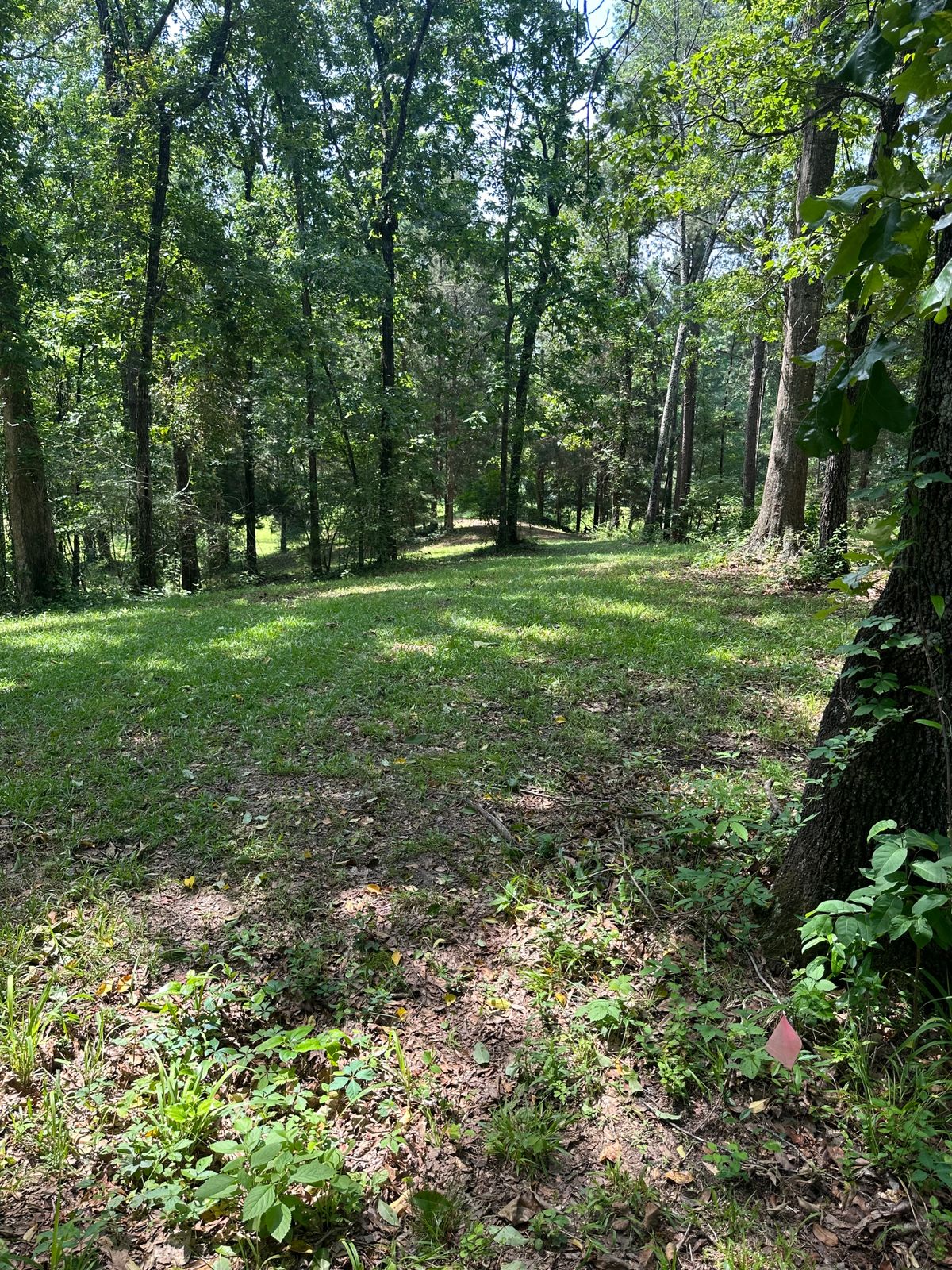 Hole 16 short and senior tee