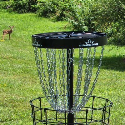 Hole one as viewed from past the basket.  Woodland Trail is aptly named.