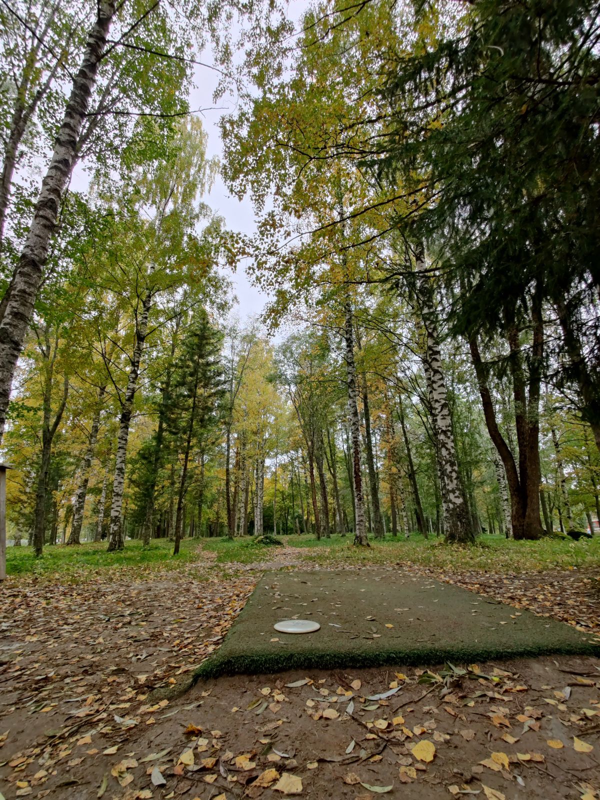 Väylä 6