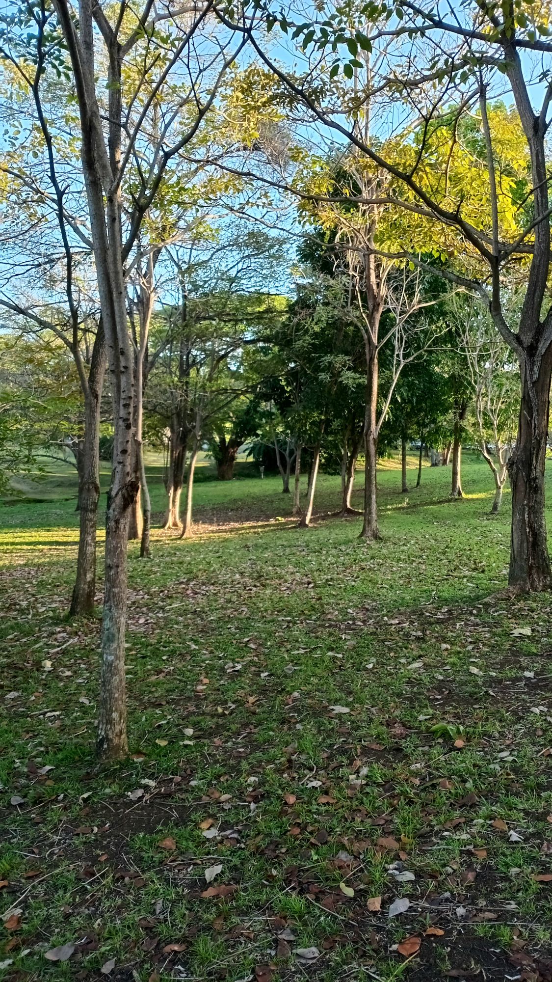 Parque Omar DG Course
Hole 11 Fairway