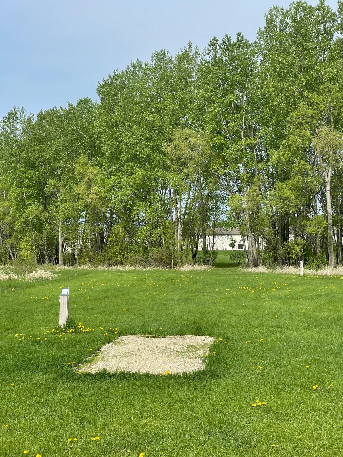 Hole 8 tee