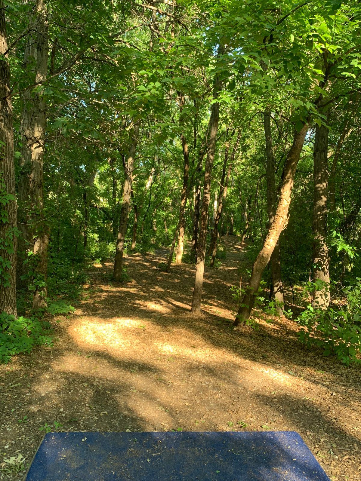 Hole 1