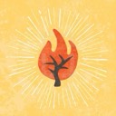 User avatar image
