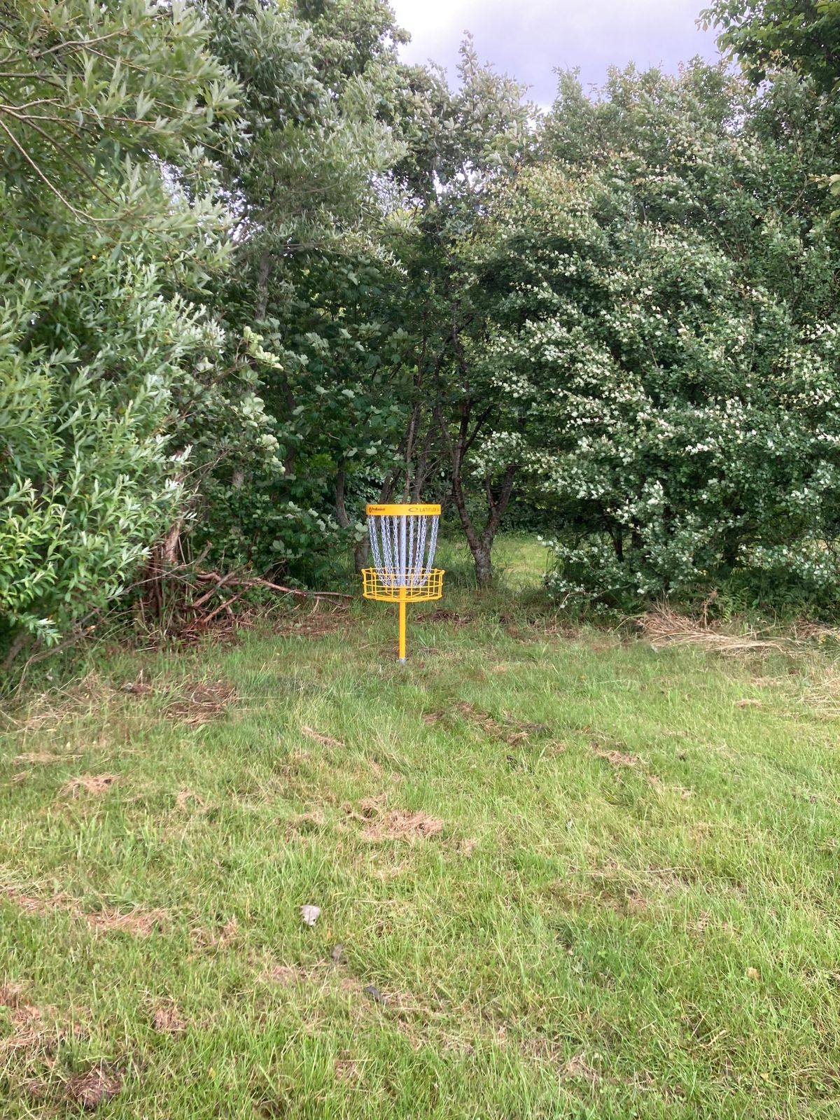 Kurv hul 2