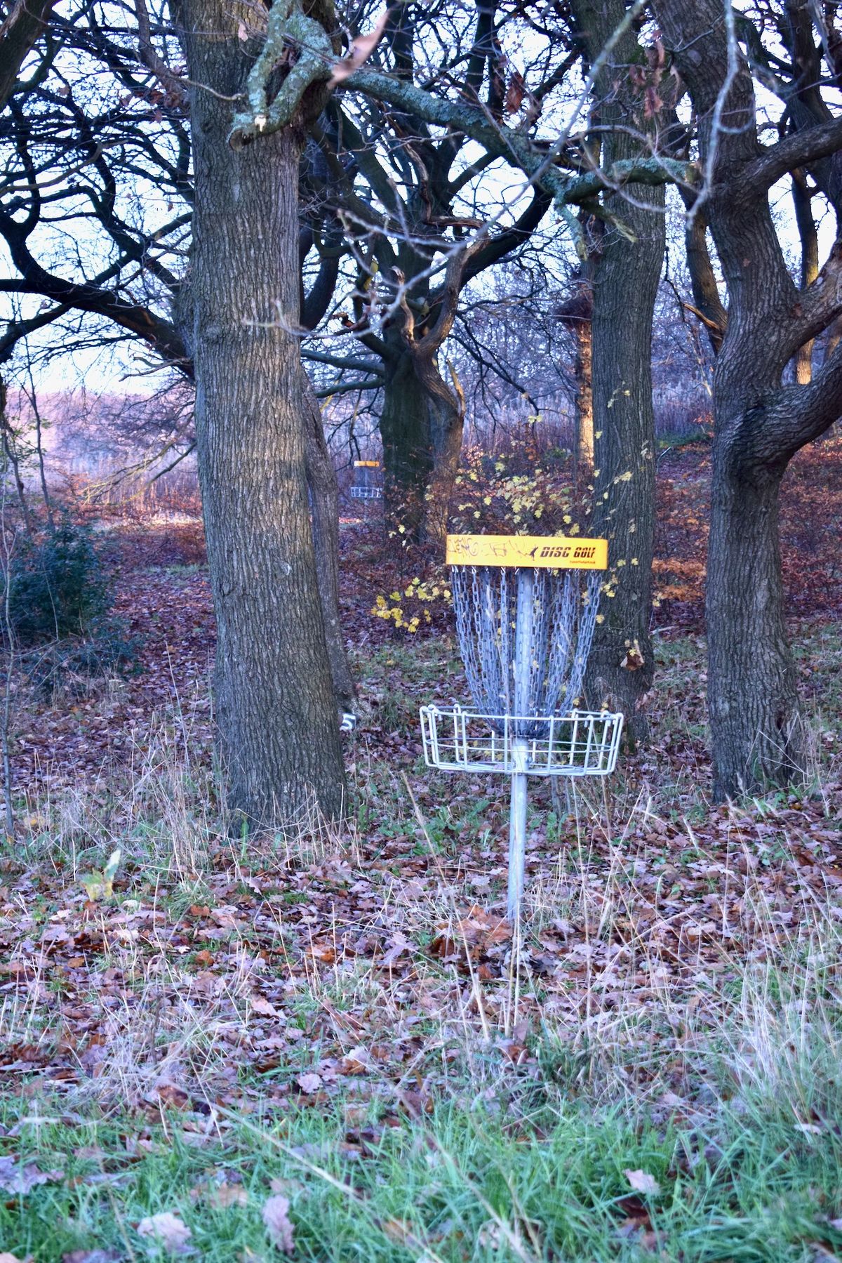 Basket 2 and 3 in the woods.