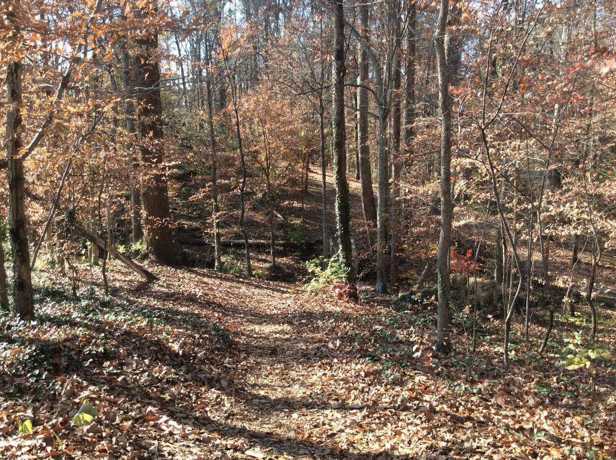 Hole #15