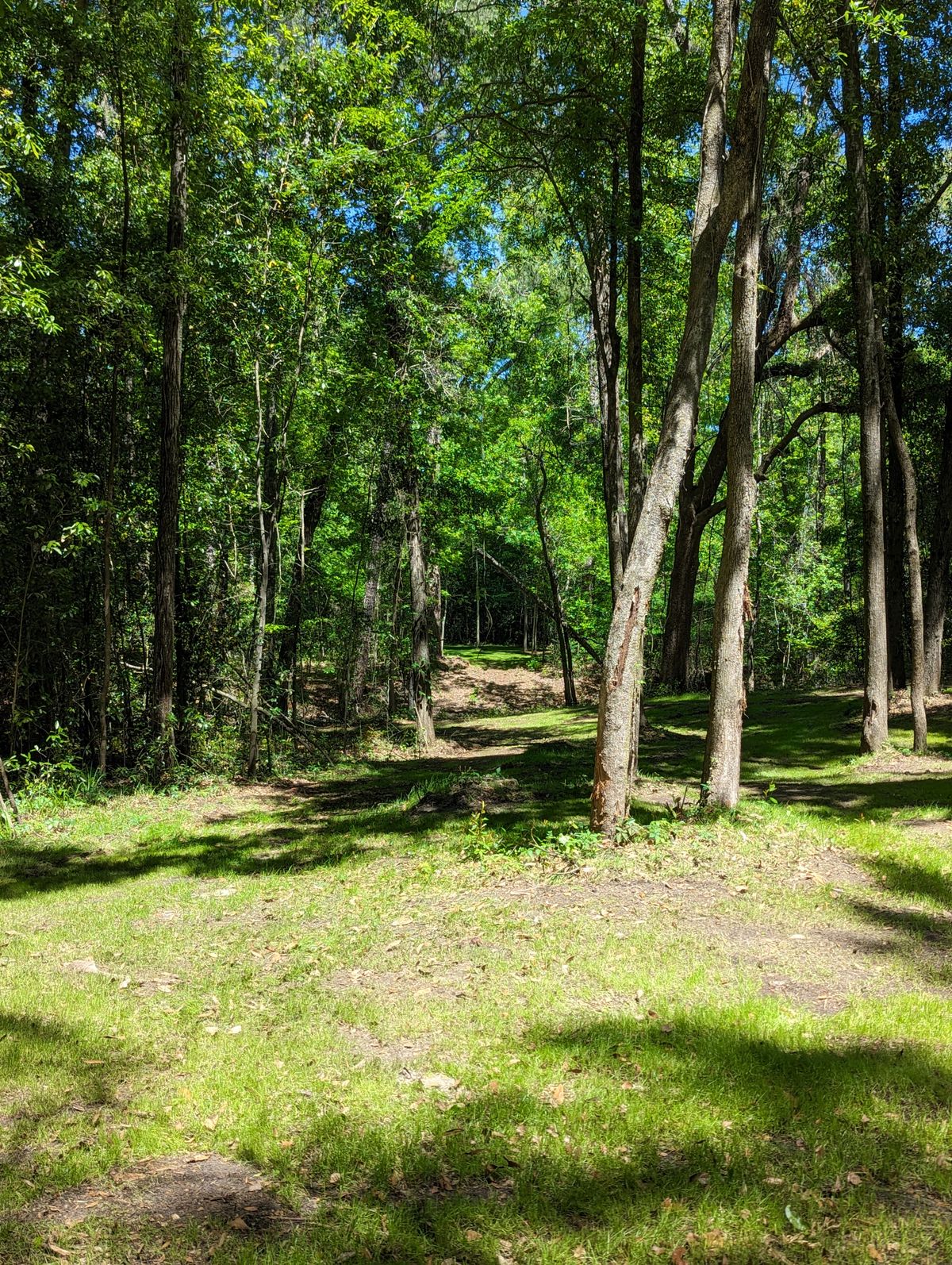 Hole 18 Fairway 1