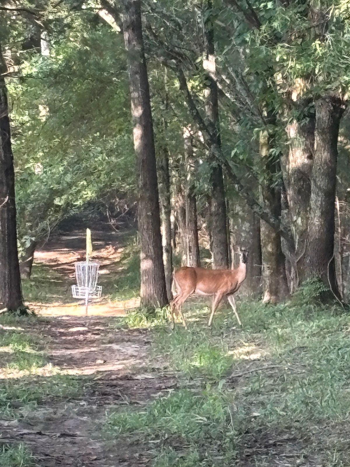 Some rude locals here that wouldn’t let me play through.