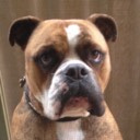 User avatar image