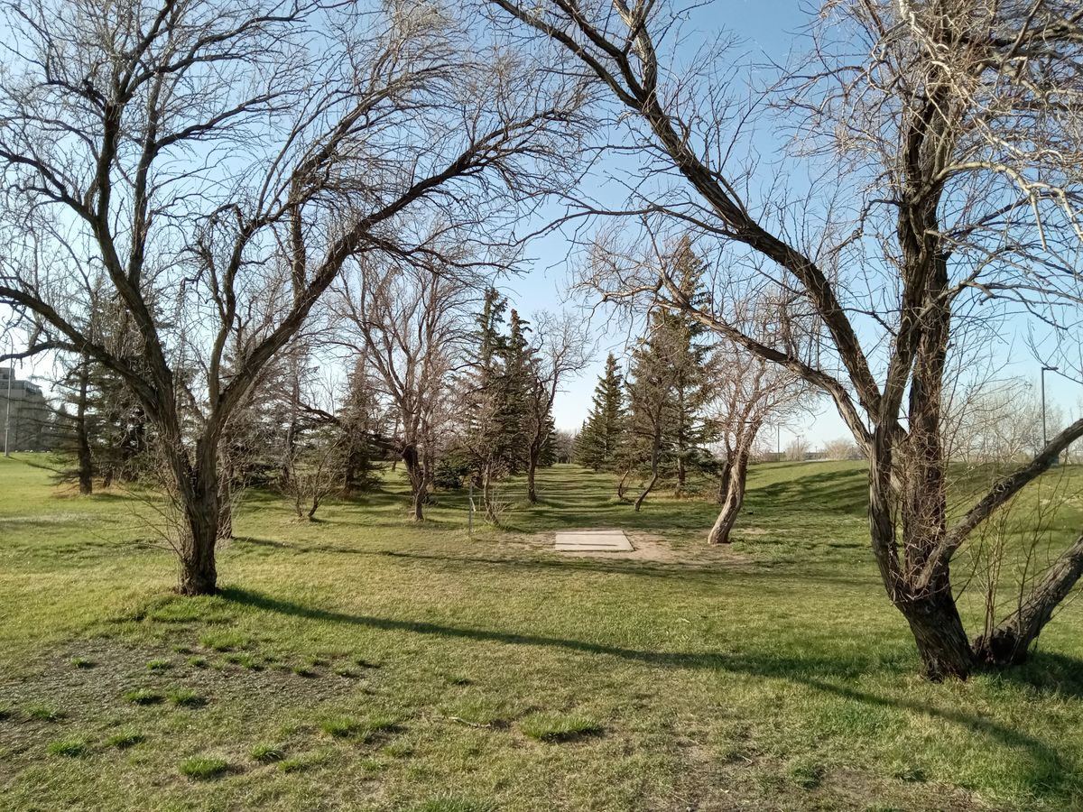 Tee pad hole 1