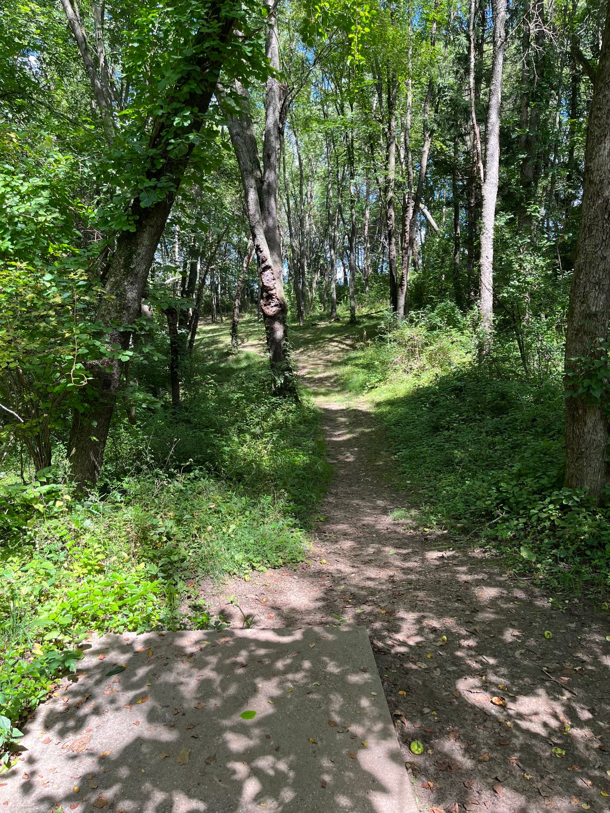 Hole 14