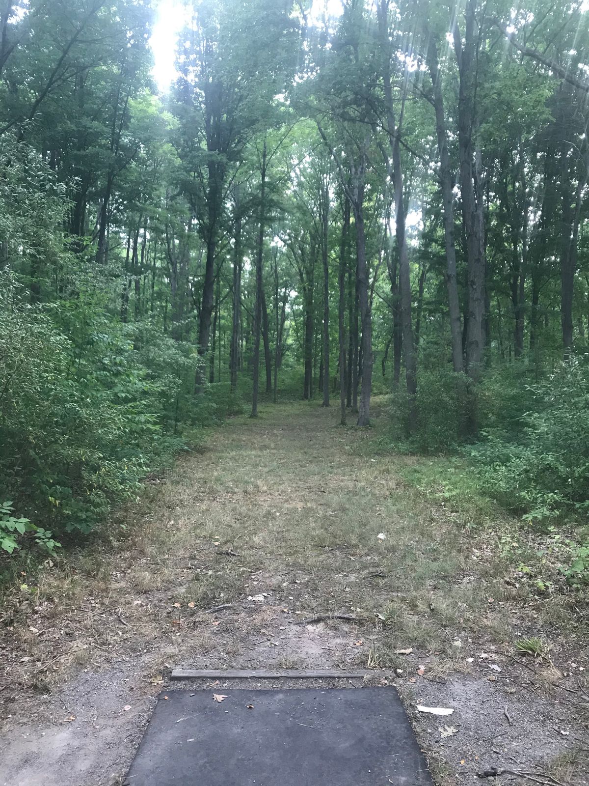 #3 tee/fairway
Par 3
Dog leg right