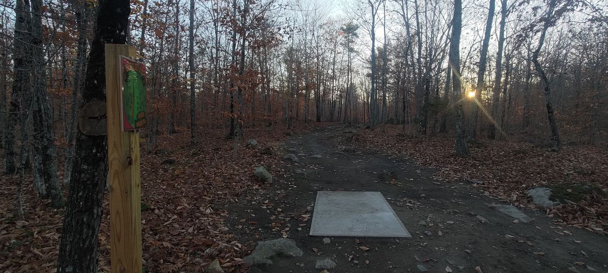 Hole 11
