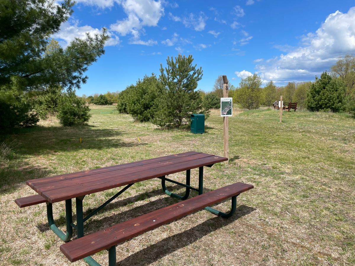 picnic table, bench at 6 in background