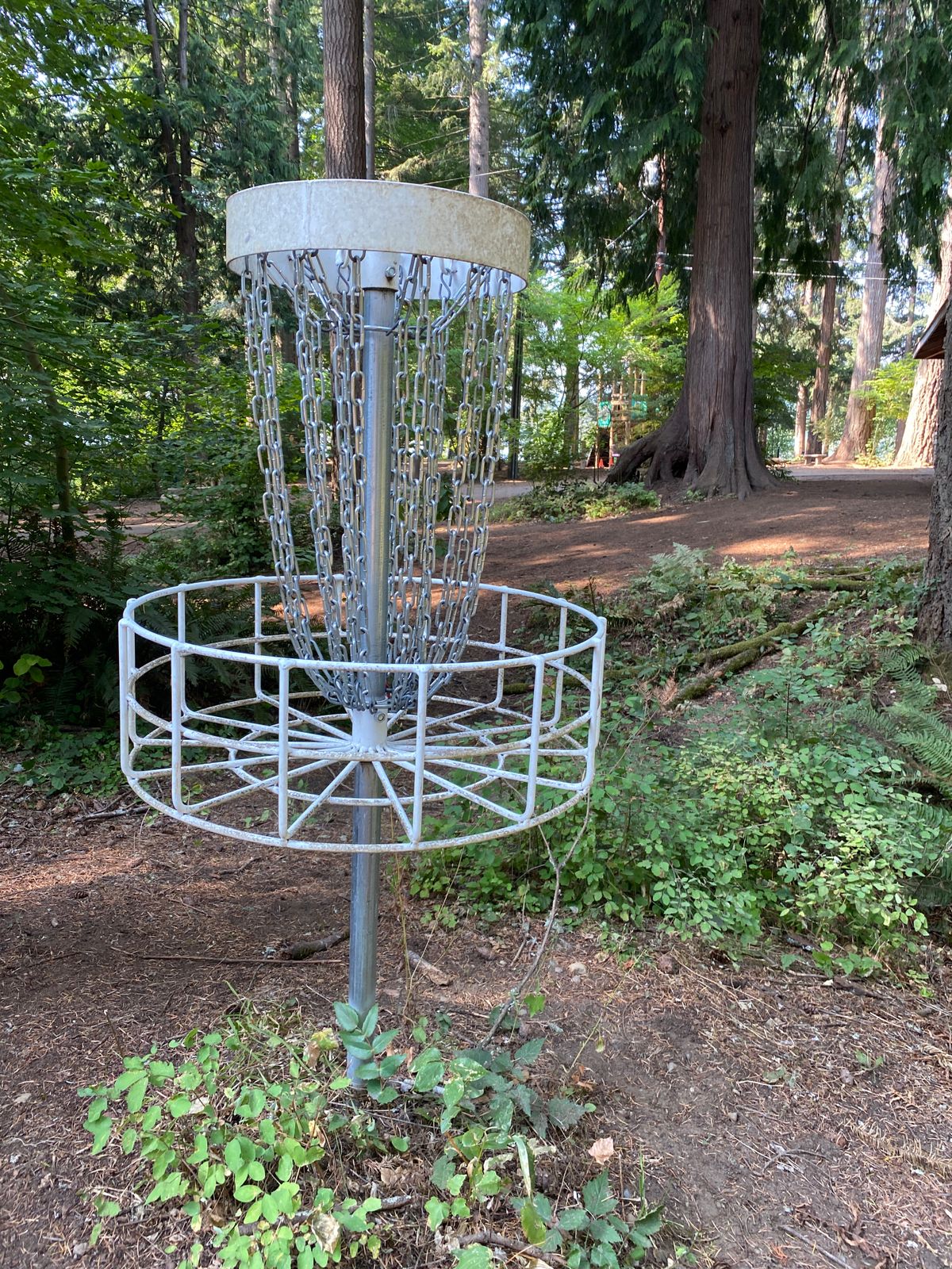The marksman style smaller baskets are a good compliment to the course.