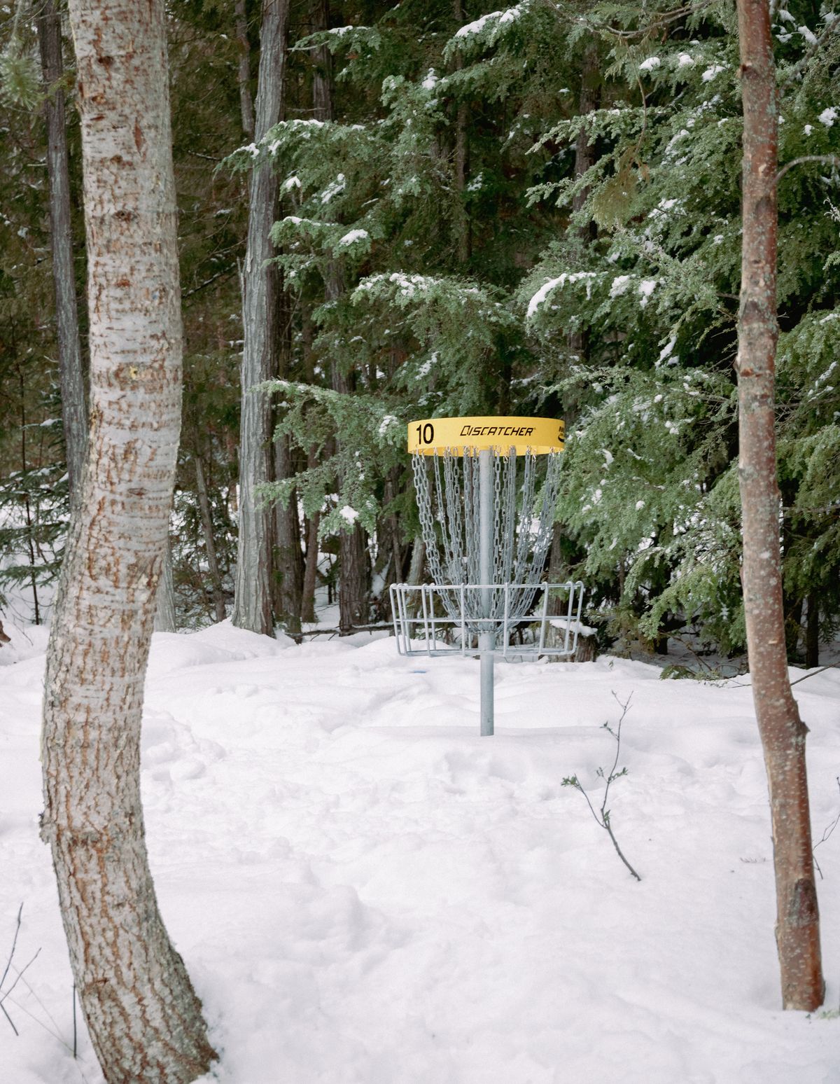 Hole 10 through the side door.