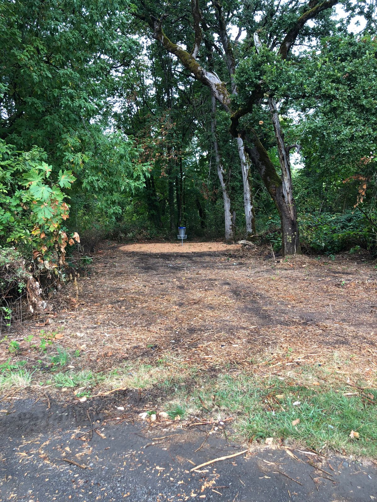 Hole 2 basket