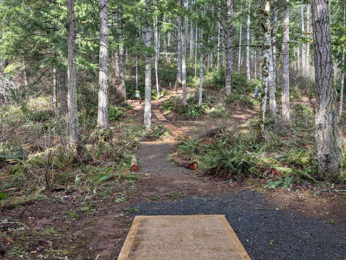 Hole 3