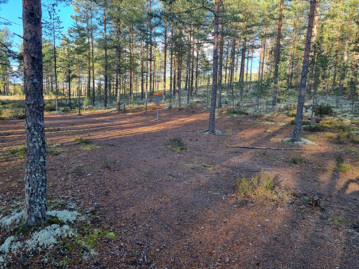 Korinäkymä