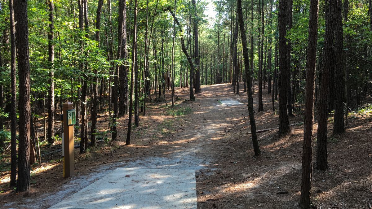 Hole 8