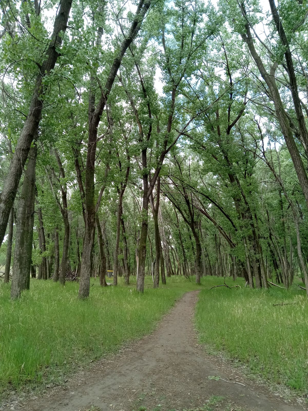 Looking at hole 5