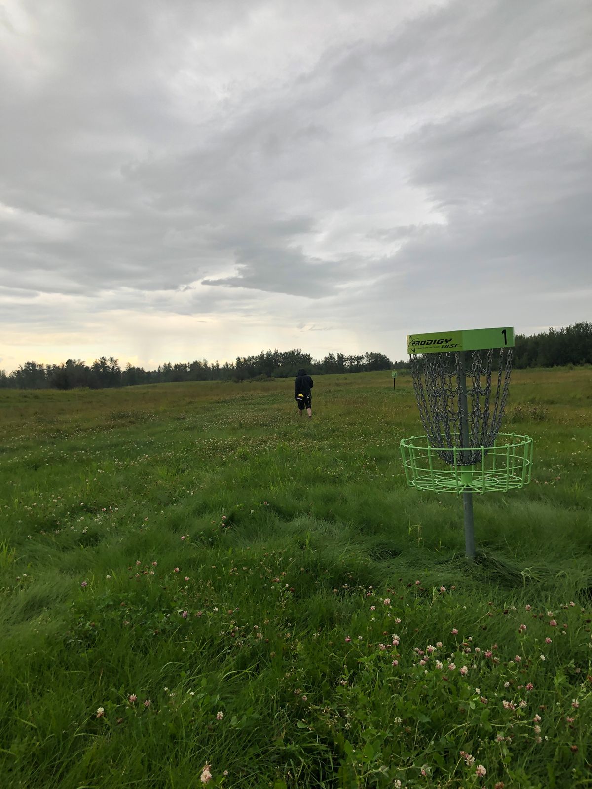 Decent tee boxes