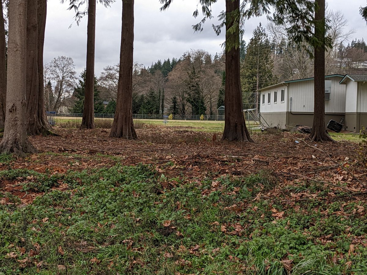 From tee #2.