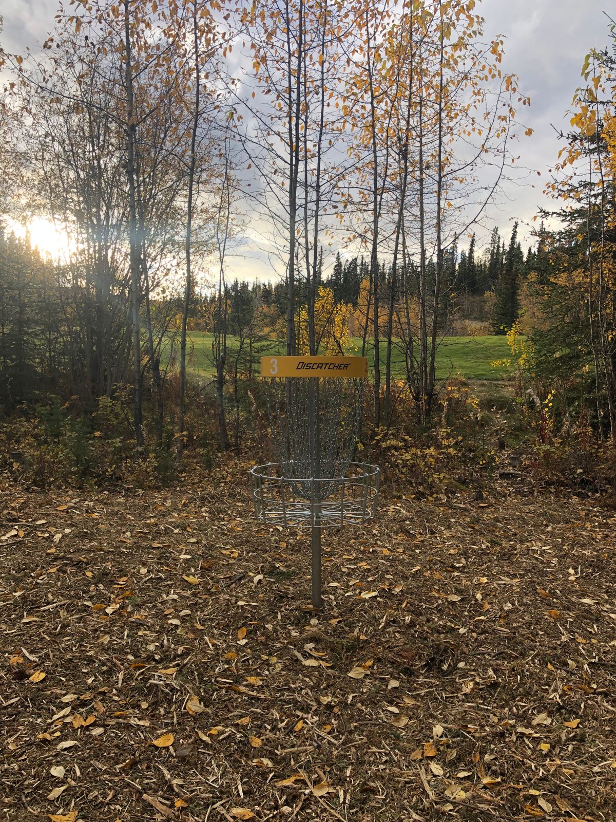 Hole 3