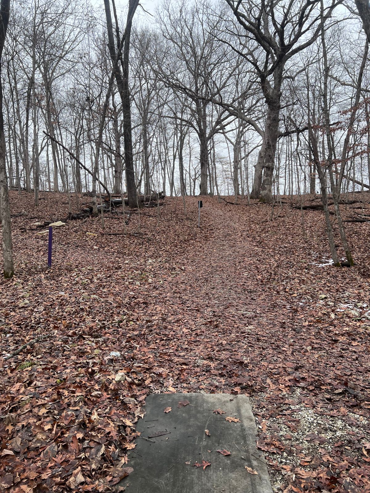 Hole 16