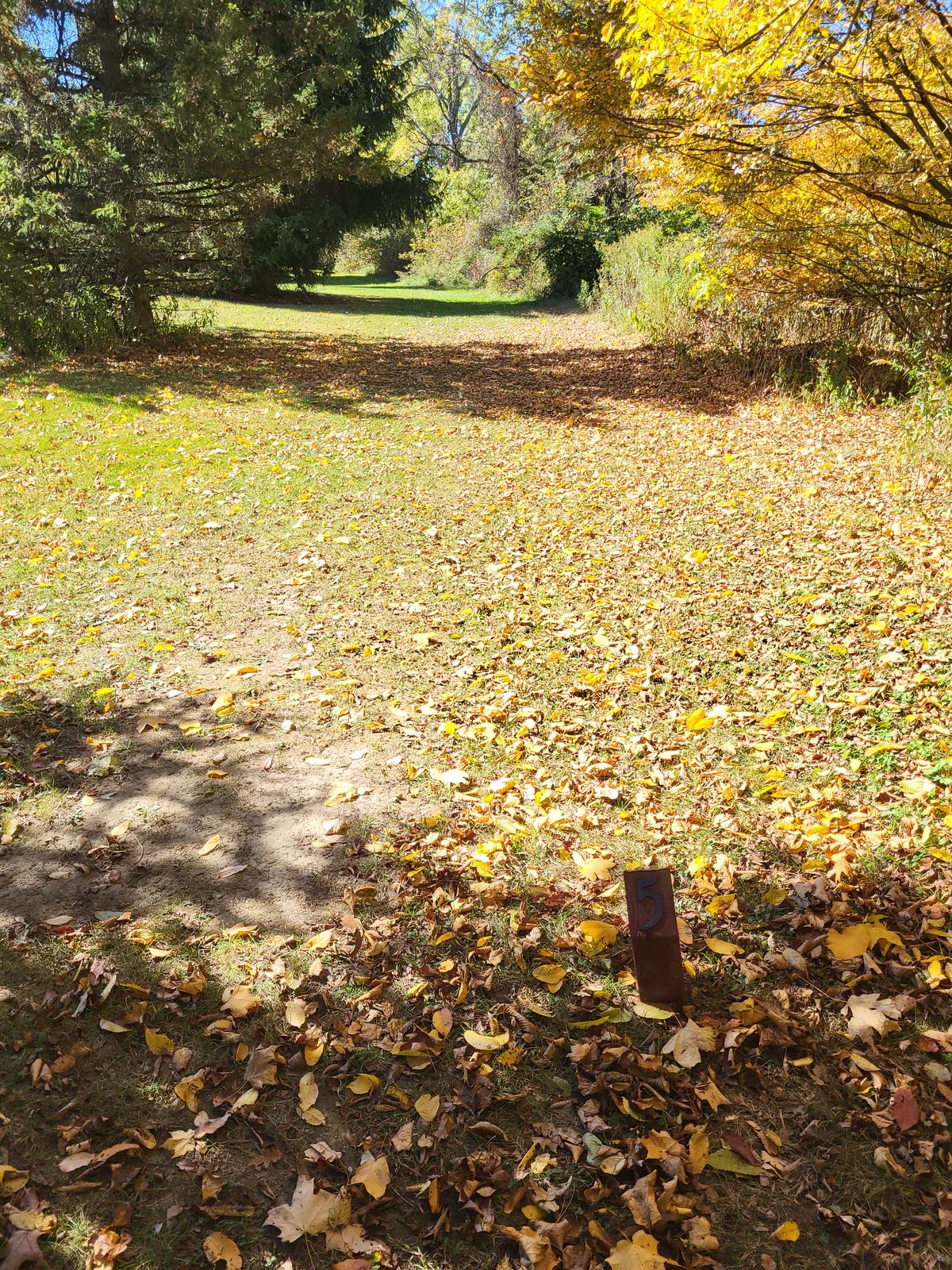 Hole 5 tee