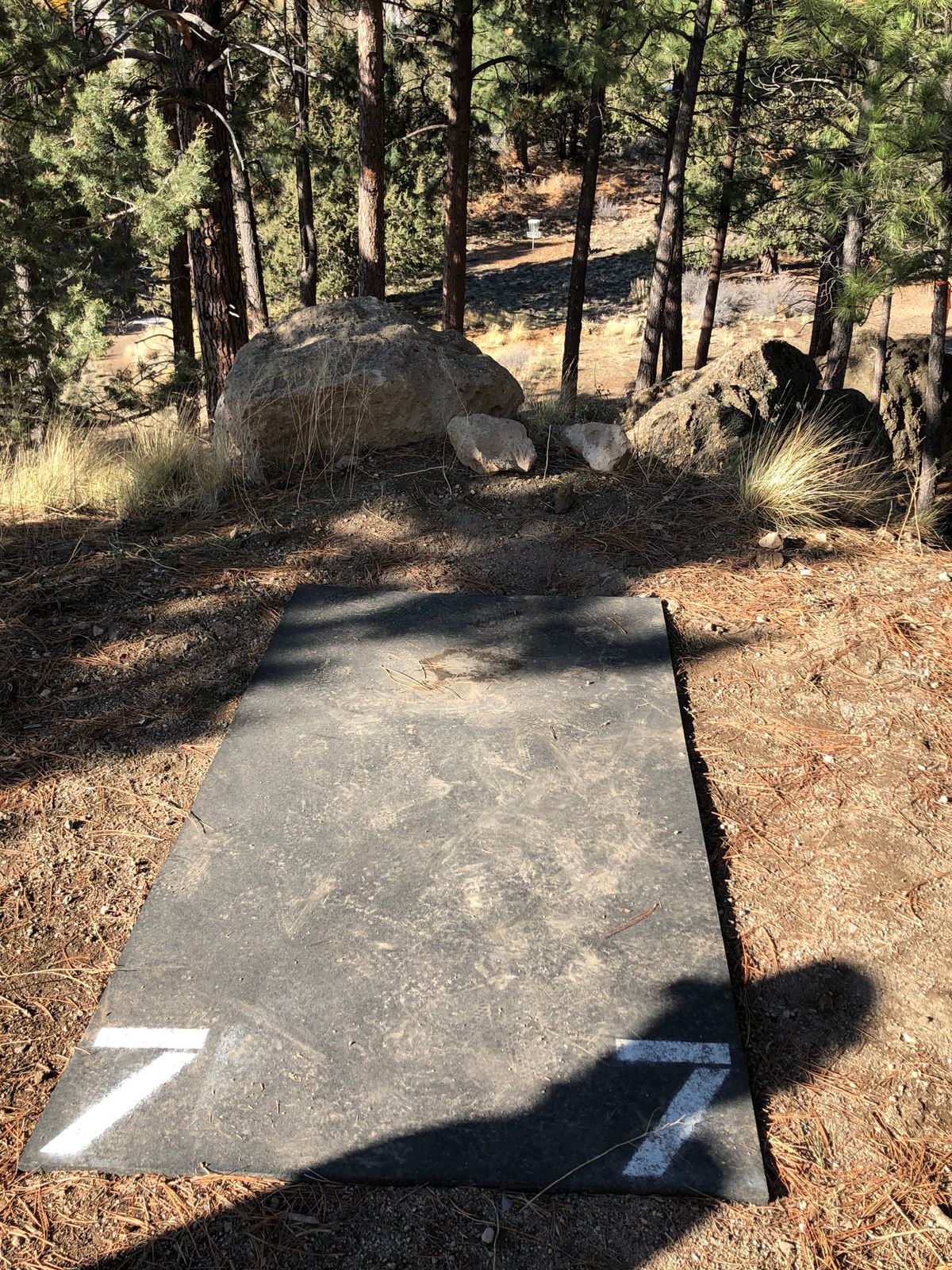 Hole 7 - tee to basket