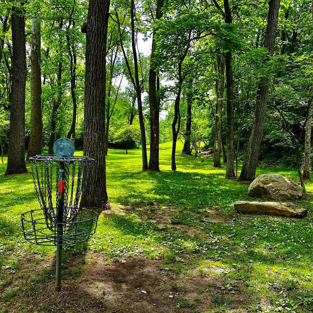 Hole #6 Basket to Tee