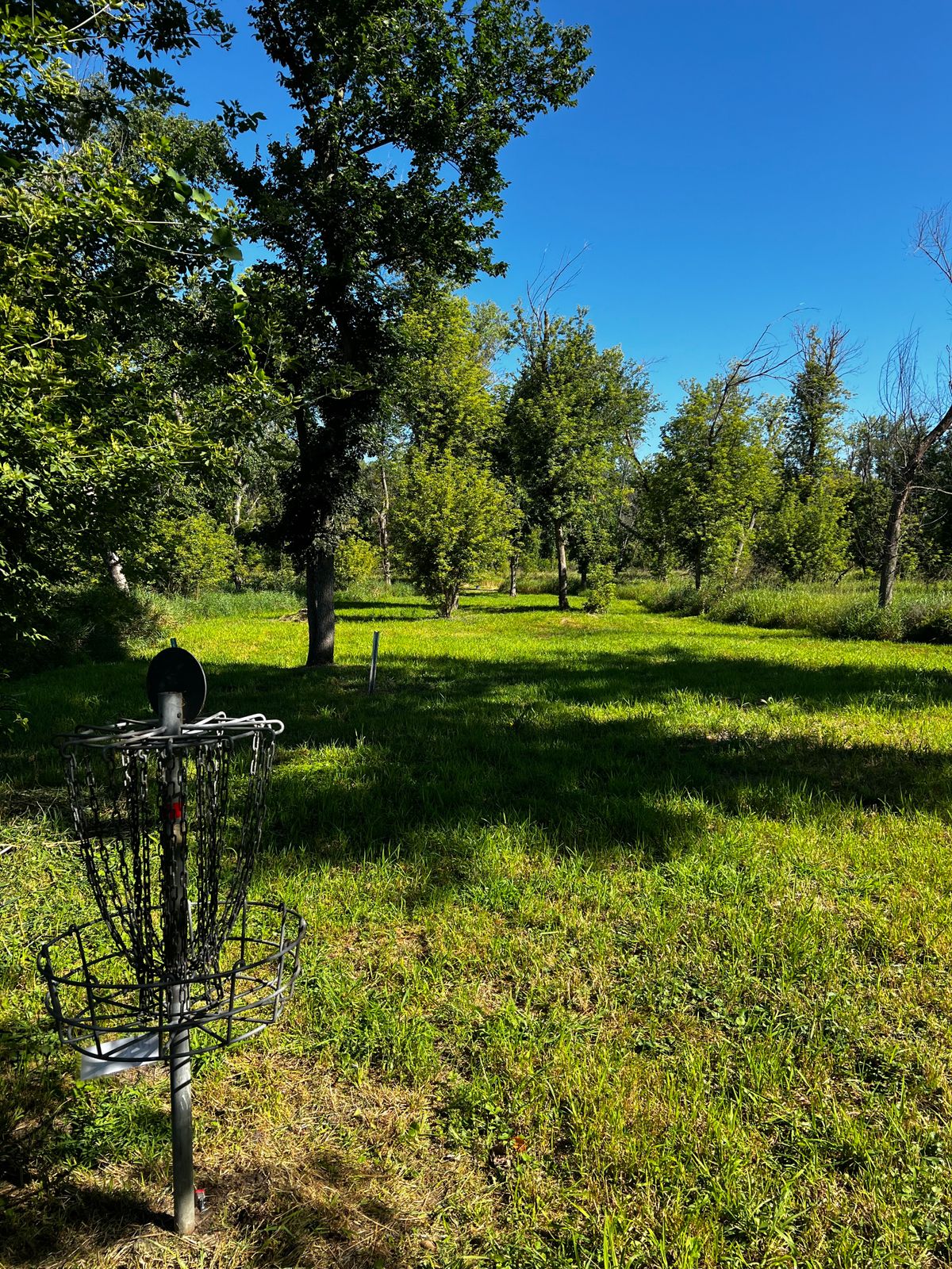 Hole G Basket