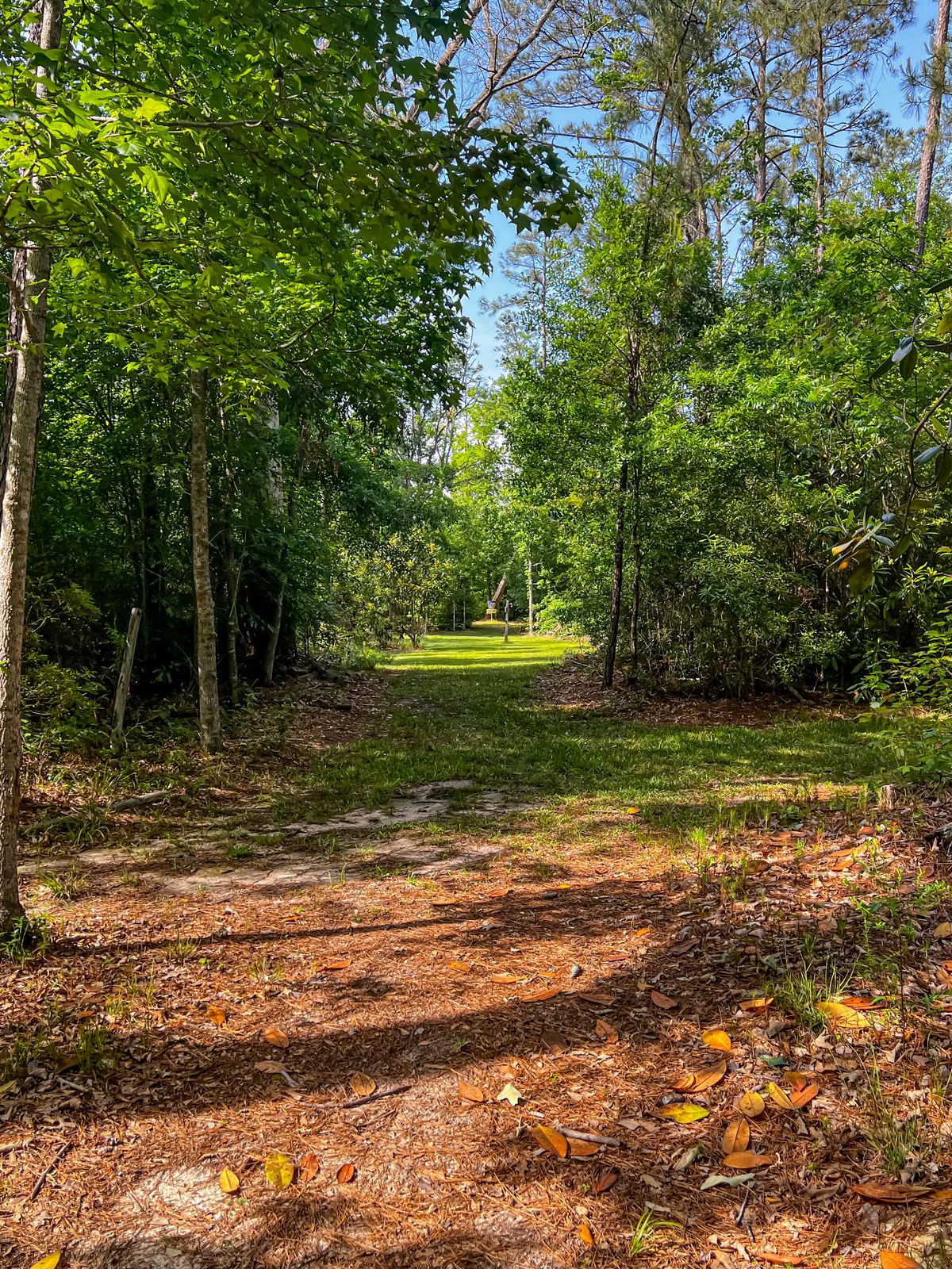 Hole 4