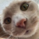 User avatar image