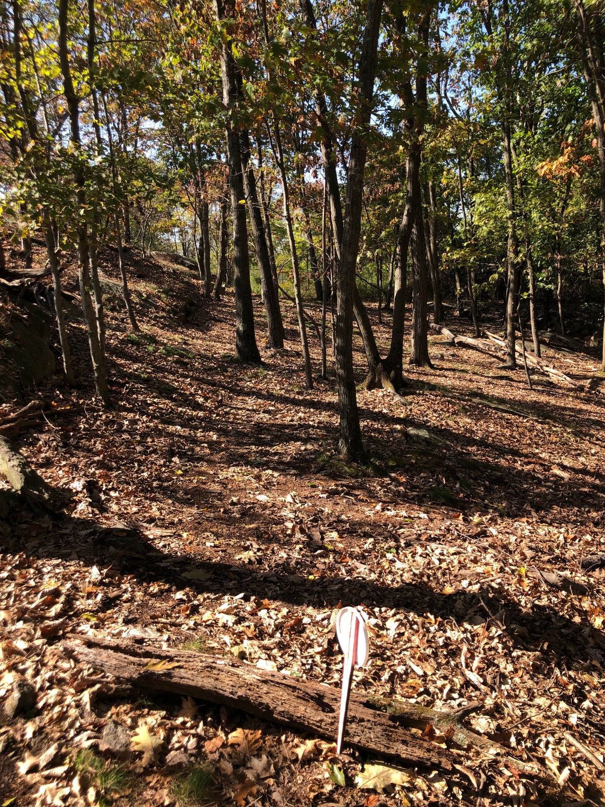 Hole #3 (115’)