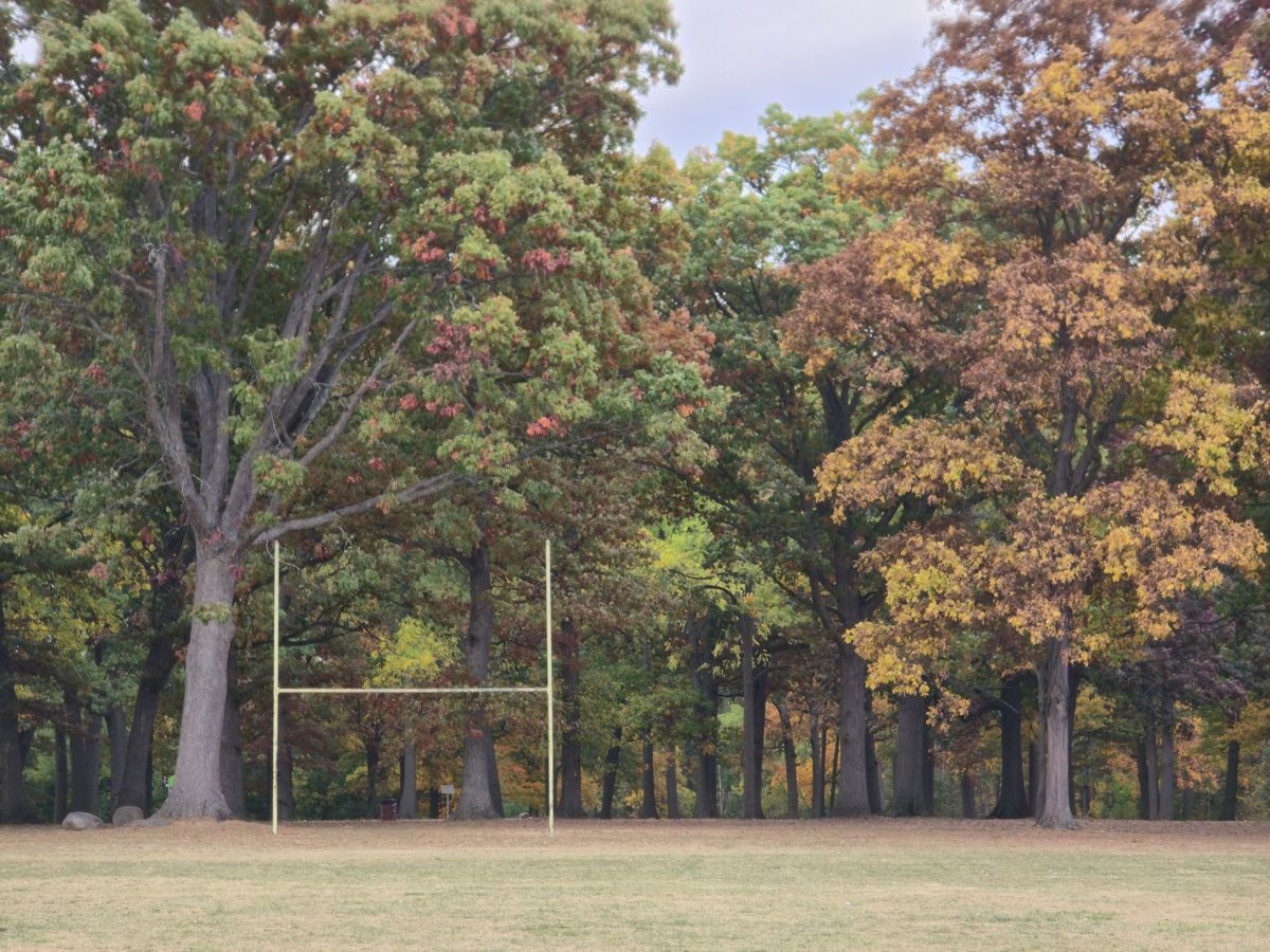 Looking into the course from across the side filed. Great place for field work as well.